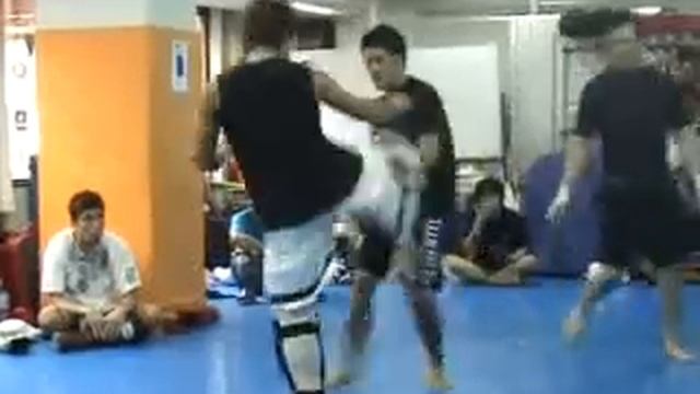 kyokushin karate top sparring 極真カラテスパー смотреть онлайн