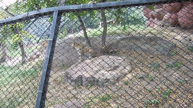 nikon s6800 at hyd смотреть онлайн