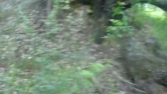 Прогулка с Греем 22 июня 2020 смотреть онлайн