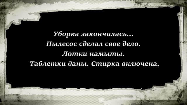 Кошачий калейдоскоп 4. Будни прйда и персональное обращение Оксаны. смотреть онлайн