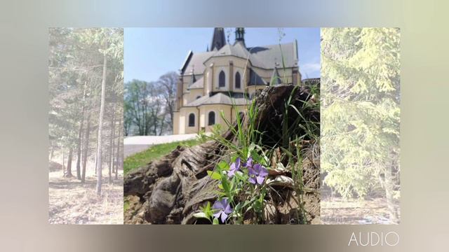 Čo od Boha naozaj chceš? (POŽEHNANIE PRE TEBA - pondelok, 20.11.2023).🙏 смотреть онлайн