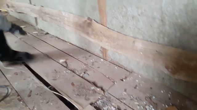 Интерскол Ш-8/700ЭР смотреть онлайн