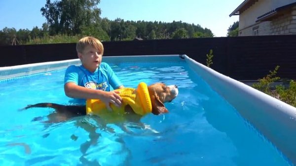 ШЕРЛОК КУПАЕТСЯ В ЛЕДЯНОМ БАССЕЙНЕ С ПОП ИТАМИ