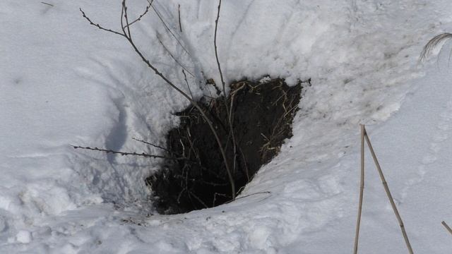 На рыбалку с лыжами.Красивая зимняя природа! смотреть онлайн