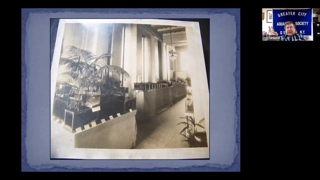 JOE FERDENZI *History of the Aquarium Hobby in the USA *STORIA DELL' ACQUARIOFILIA IN USA *AIC LIVE смотреть онлайн