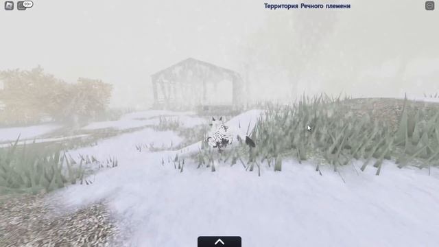 КОТЫ ВОИТЕЛИ РОБЛОКС! СТАЛИ КОТАМИ НА 24 ЧАСА! КРОЛЯ БАФФИ и КОТ МАЛЫШ ИГРАЮТ в Warrior Cats ROBLOX смотреть онлайн