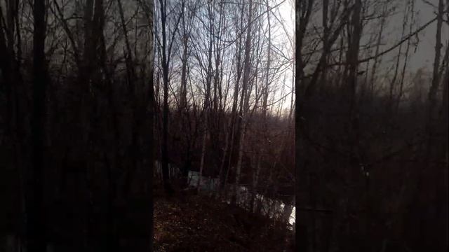 Ищем гектар #Дальневосточный гектар. смотреть онлайн