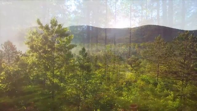 Релаксация и медитация, видео и музыка природы. смотреть онлайн