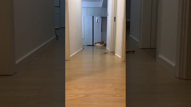 Когда пузо не помеха для суеты смотреть онлайн