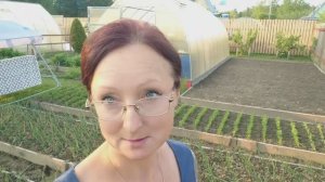 Видео привет с 6 соток 27 мая 2023 года