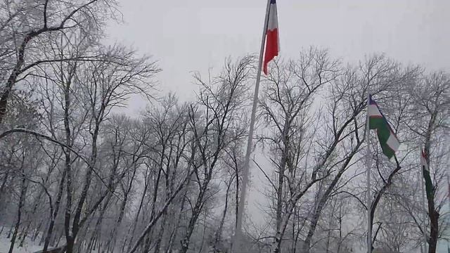 Флаги Евросоюза смотреть онлайн