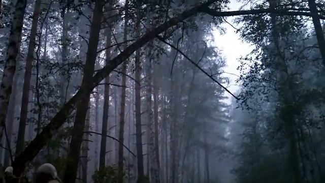 (Рязань, пожары) Как мы тушили лес у Передельцев - 2 смотреть онлайн