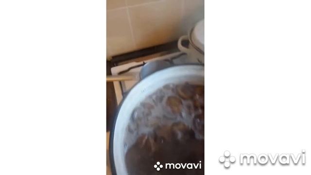 Свинушки они же дуньки - жарим. смотреть онлайн