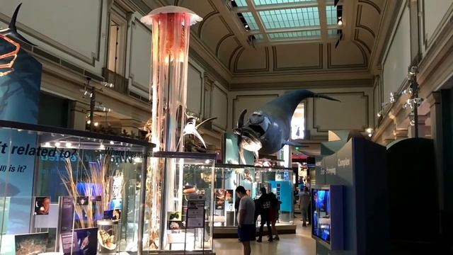 Top 15 Places To Visit In Washington DC