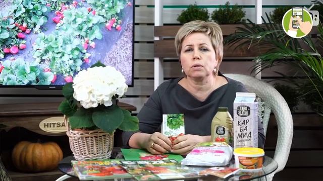 Советы садоводам и дачникам от ХИТСАД ТВ ? Лучшие семена для рассады 2021 ? Уход за газоном весной смотреть онлайн