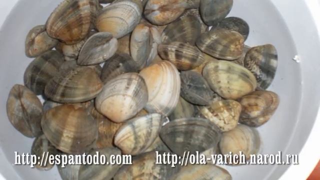 Мерлуза или хек по-флотски "Кулинарная книга Испании" смотреть онлайн