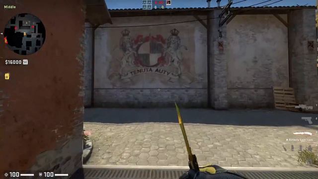 CS:GO Utility Guide From An IGL Team Perspective смотреть онлайн