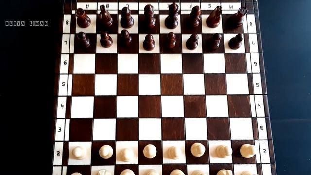 Выпуск 38. Задачи. Комбинации. Шахматы. Chess. Шах и мат смотреть онлайн