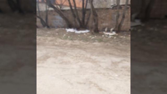 Заливка в Элекростали смотреть онлайн