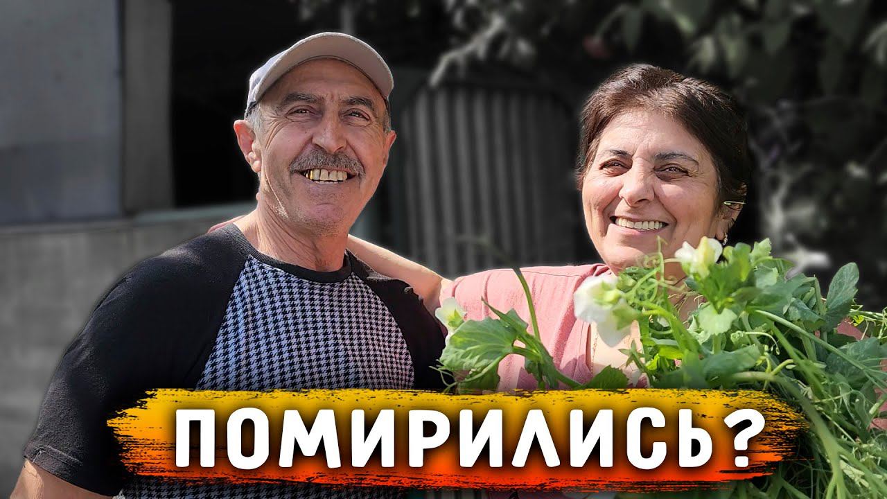 Впервые за 3 года! Поехали все вместе с собаками в Новопавловск. Узнает ли Алиса свои родные места? смотреть онлайн