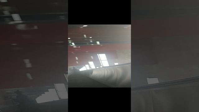 20230702_Метро БКЛ Мичуринский проспект смотреть онлайн