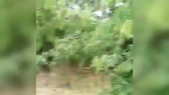 МОЯ ИСТОРИЯ | ЖИЗНЬ В ОККУПИРОВАННОМ ХЕРСОНЕ смотреть онлайн