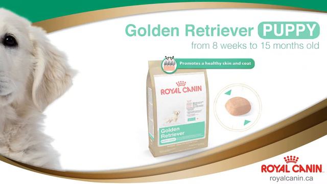 Royal Canin - Golden Retriever - Guelph - 1-0849 смотреть онлайн
