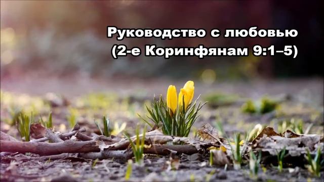 Тихое время с Живой Жизнью: 2 Коринфянам 9:1–9 (17032018)