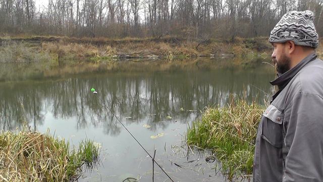 РЫБАЛКА НА ХОПРЕ. ПЛОТВА. КРАСНОПЁРКА. БЕЛЕСТИК. ГОЛАВЧИК. смотреть онлайн