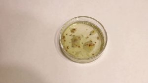 Восстанавливающие свойства папаверина