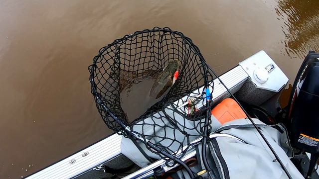 Щука на 11 кг давит вниз. Рыбалка на Strike Pro Buster Jerk. DF 68 смотреть онлайн