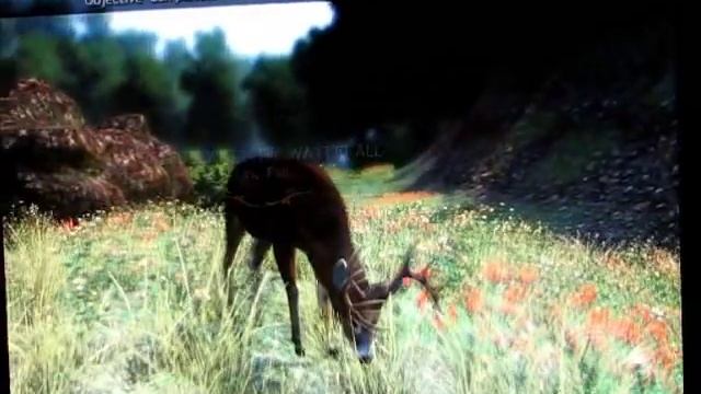 Let's Play Cabela's Outdoor Adventures Part 2: More Whitetails смотреть онлайн