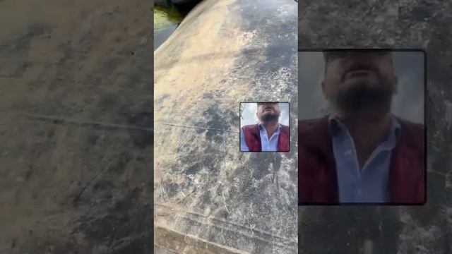 Как устроен полив и поливочный пруд в питомнике растений СадЦентр