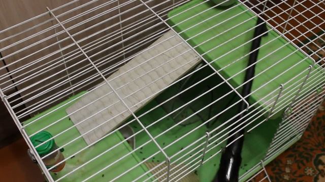 Вертикальный пылесос Kitfort KT-515-1 - сборная насадка