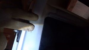 VW T4  РЕГУЛИРОВКА ВСЕХ ДВЕРЕЙ, ВСЁ ПРОСТО.