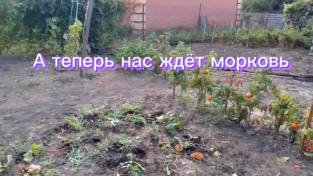 По чем дровишки?Собираем урожай.Огород. смотреть онлайн
