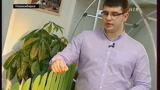 ВЕСТИ ДАЧА Забор-конструктор от Завода "Металл-Сервис" смотреть онлайн