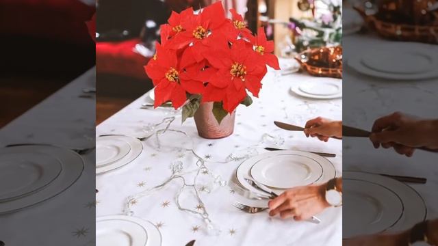 Poinsettia Bush смотреть онлайн