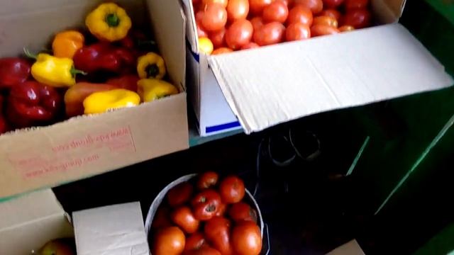 Помидоры для засолки. Готовим соленья в банки. смотреть онлайн