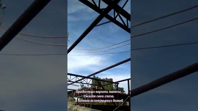 Приют Четыре лапы. Строим Дом для бездомных собак? смотреть онлайн