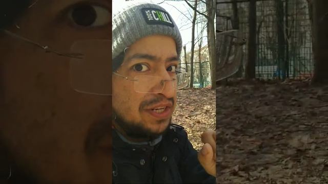 Лама, викунья, гуанако и альпака на испанском смотреть онлайн