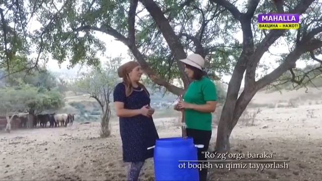 Ro`zg`orga baraka | Амирсой қишлоғида от боқиш ва қимиз тайёрлаш жараёнлари [20.09.2021] смотреть онлайн