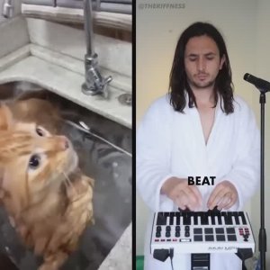 Kitty Eilish x The Kiffness - Bath Cat (Billie Eilish Bad Guy Parody)