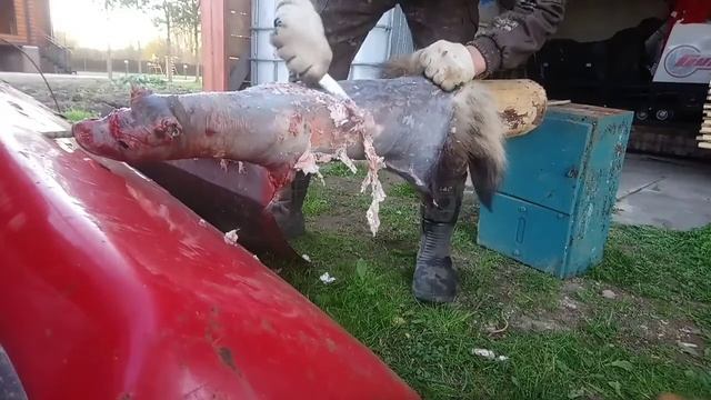 Охота на енота смотреть онлайн