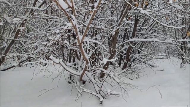 Челябинск 14 марта Идёт снег смотреть онлайн