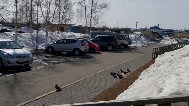 Все с праздником Светлой Пасхи Happy Easter, everyone смотреть онлайн