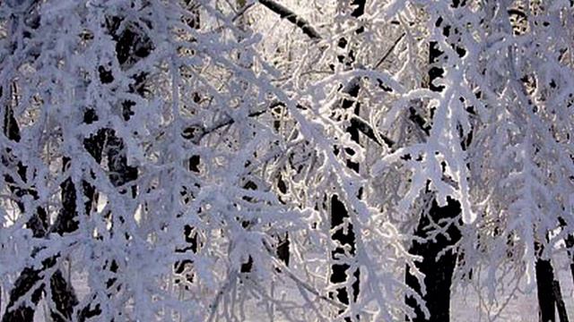 Людовико Эйнауди -   Возвращение /  Ludovico Einaudi -   Ritornare