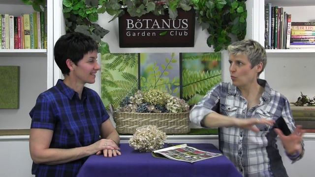 Episode 161-Hydrangea Paniculata смотреть онлайн