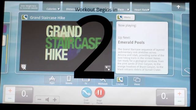 BAM 2015: Apple Fitness Busts A Move!