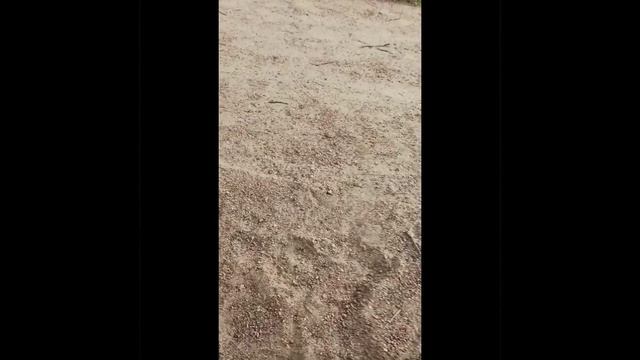 типы горок на детской площадке смотреть онлайн